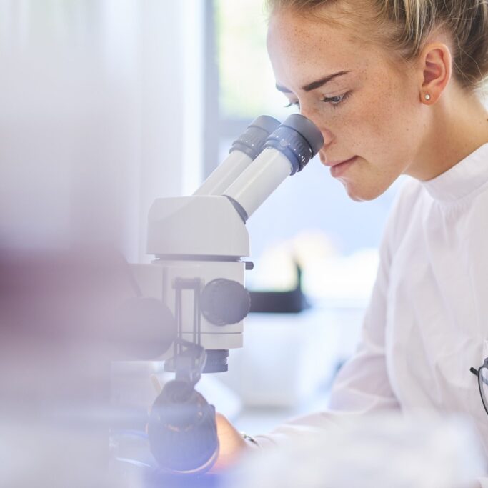 research student scientist a female research scientist is analysing a sample on her microscope in a microbiology lab . the lab is brightly lit with natural light . Blurred glassware at side of frame provides copy space .