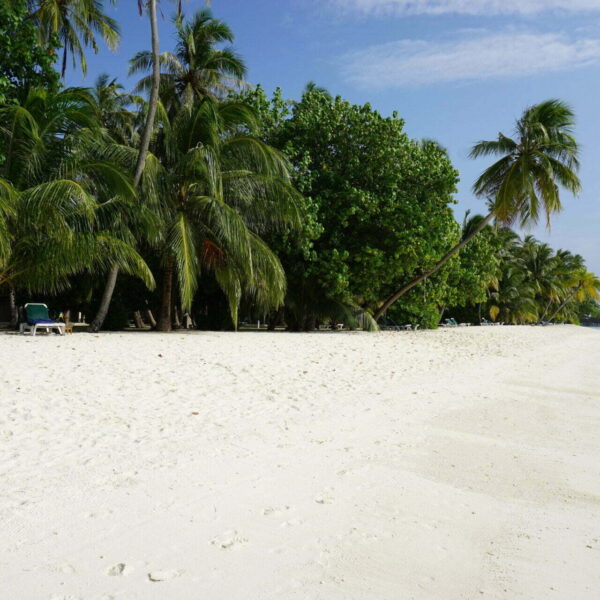 COP25 Maldives 2021