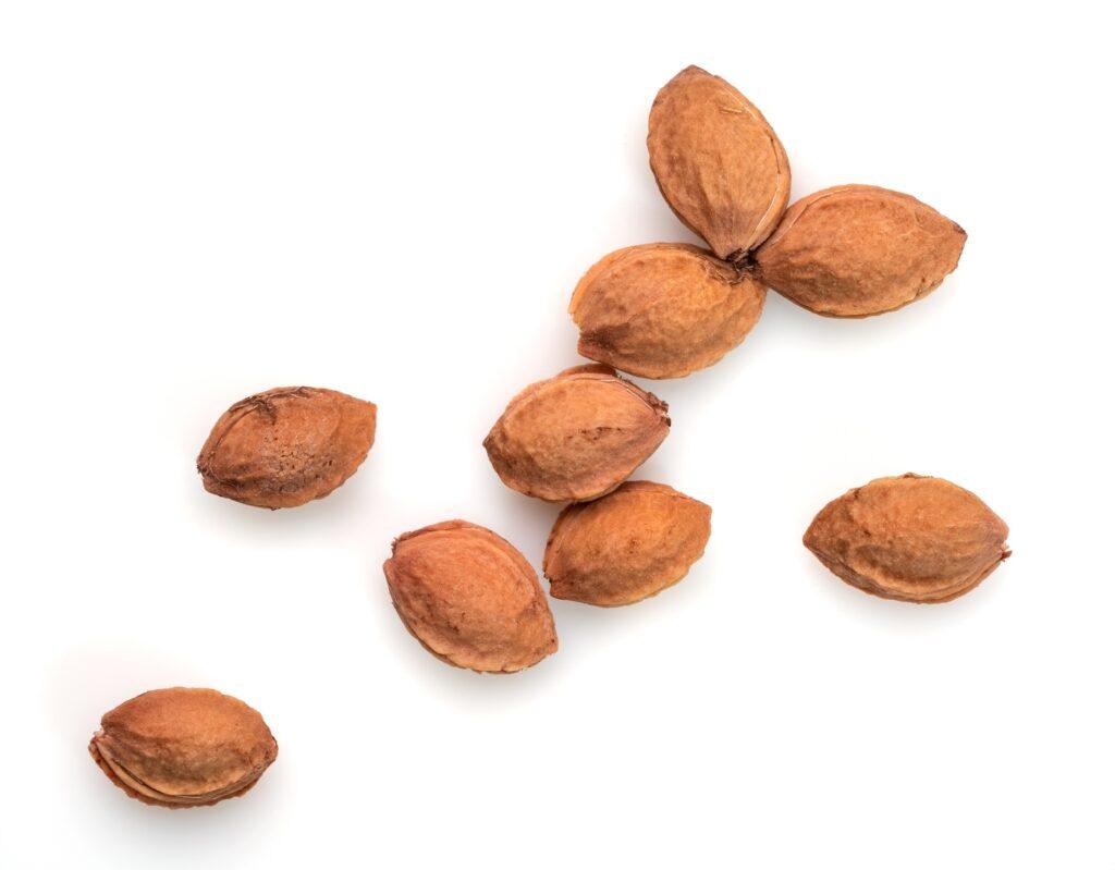 organic_plum_seed_oil_precious_facial_oil_serum